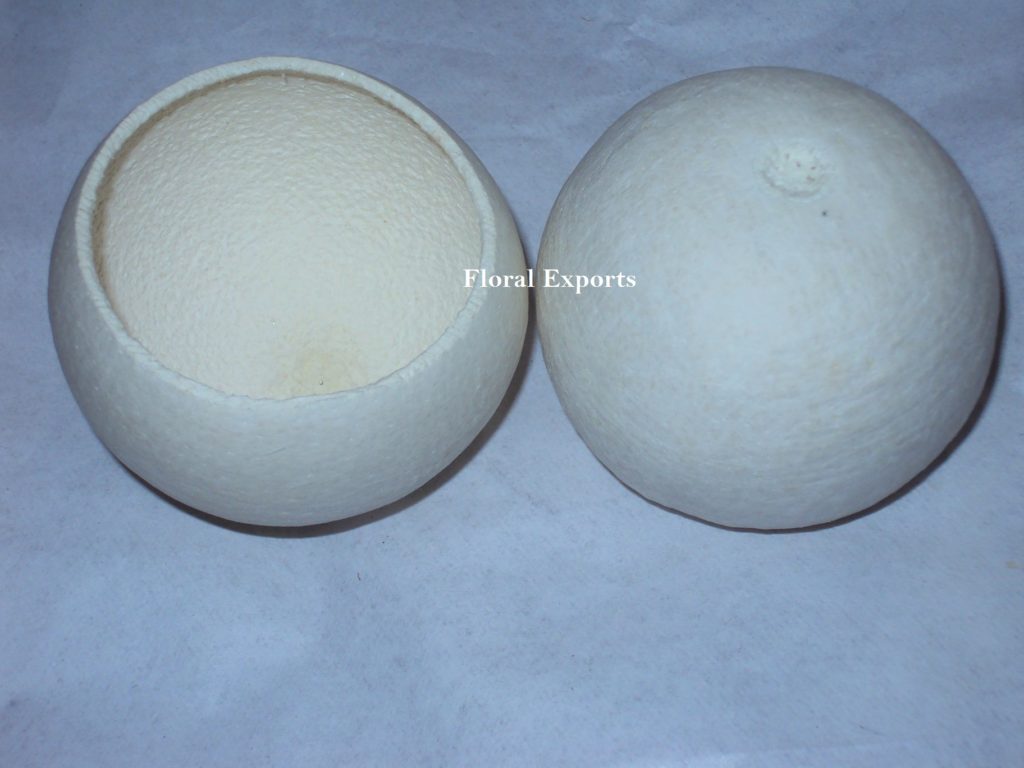 BELL CUP BLEACH (3)