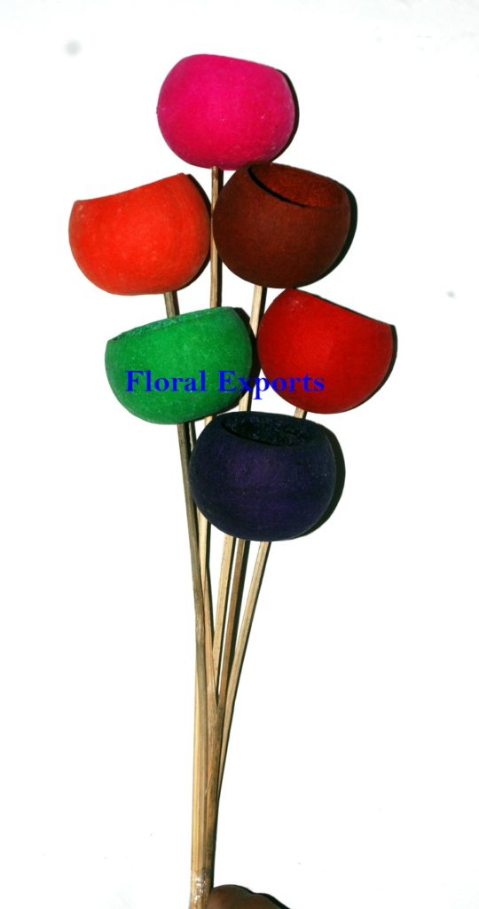 BELL CUP MIXED COLOUR