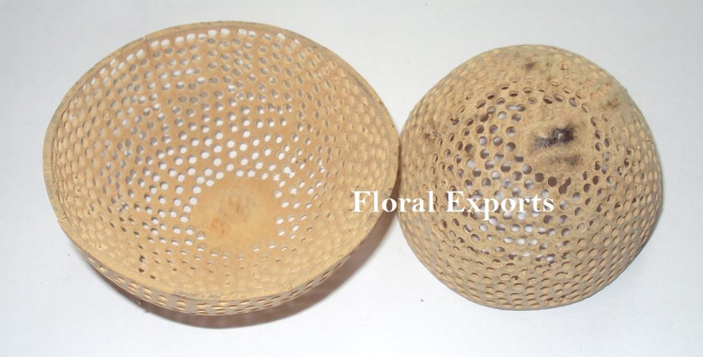 BELL CUP NET