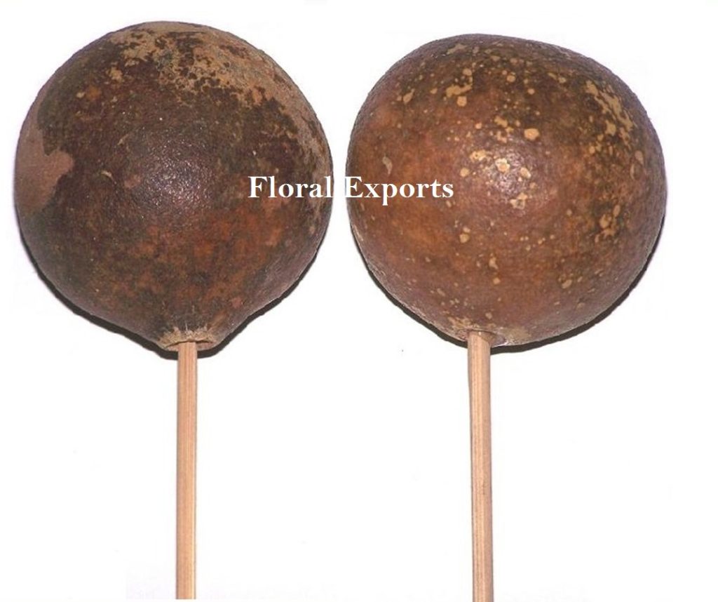 BELLANI NATURAL ON STICK