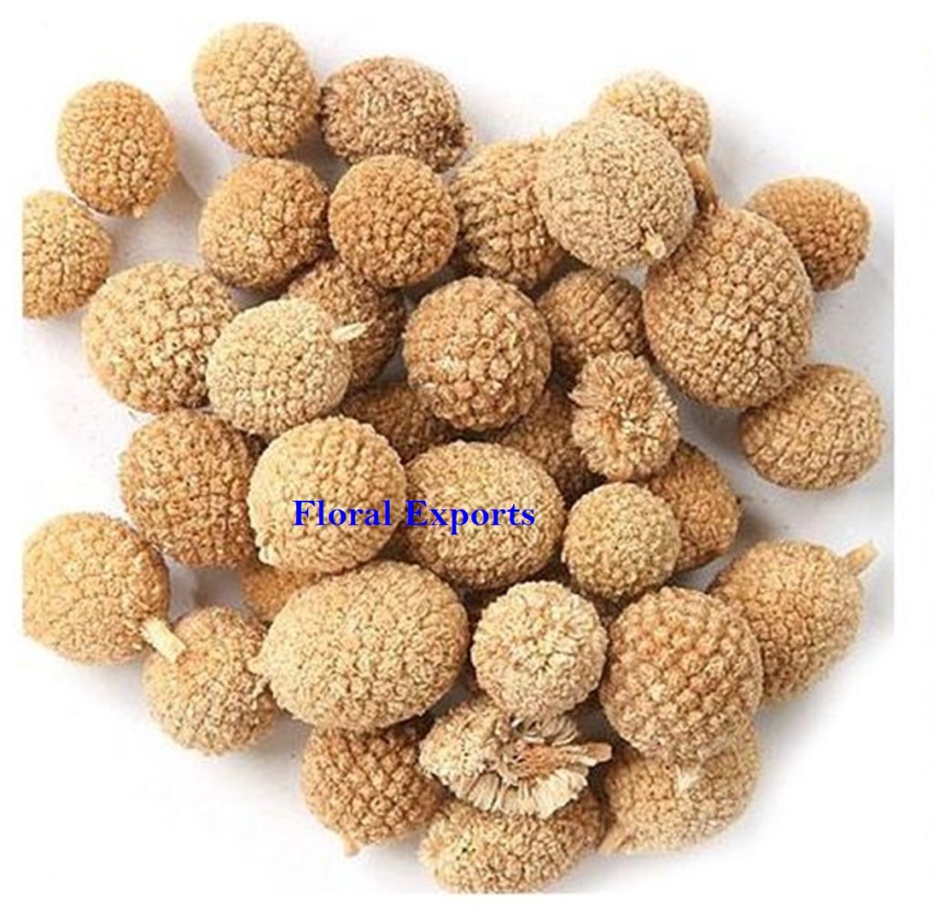 BORRA BERRIES NATURAL