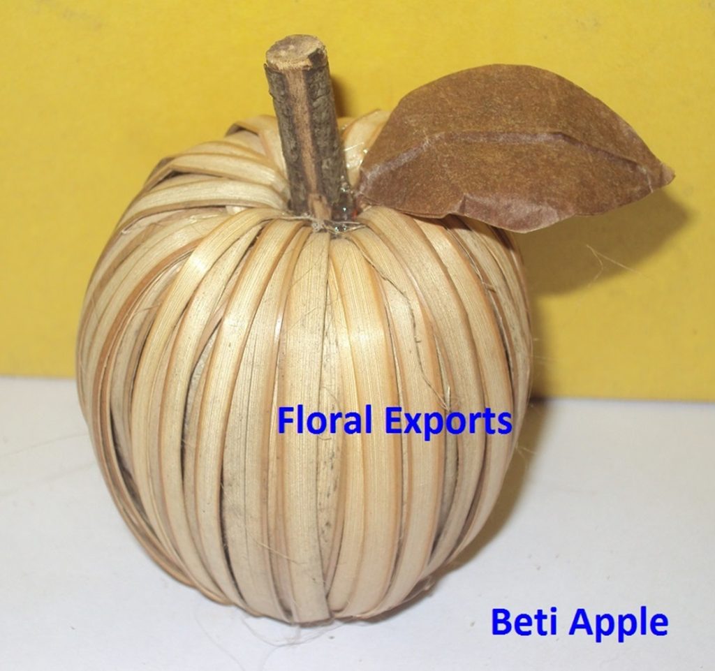 CANE BETI APPLE