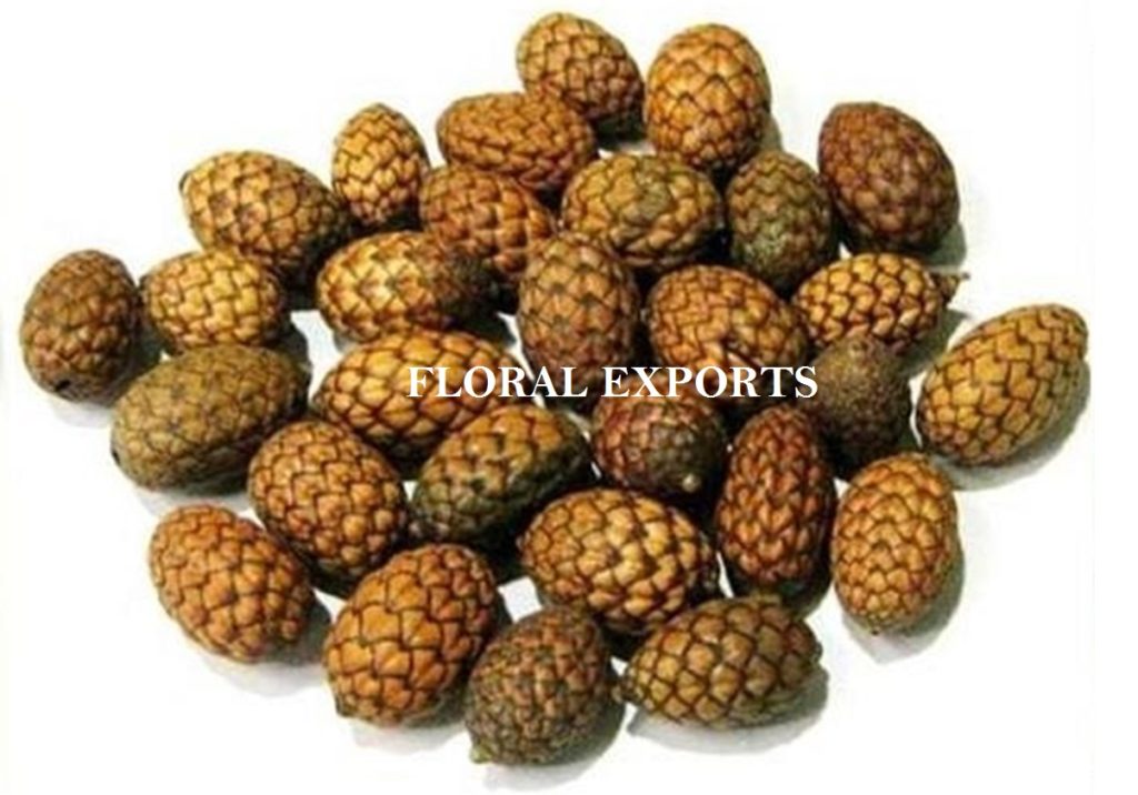 CANE FRUIT LOOSE