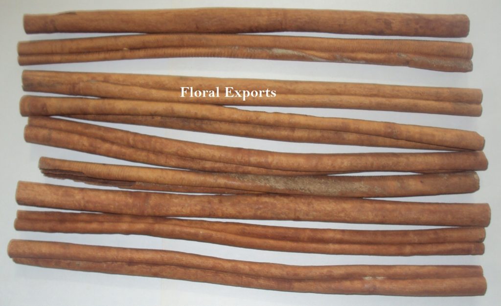 CINNAMON STICK 20 CM. TO UP NATURAL