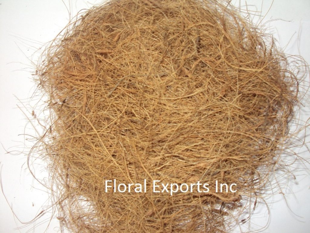 COCO FIBRE NATURAL
