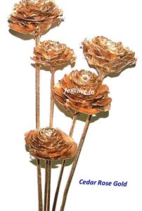 Cedar Rose Gold on Stick