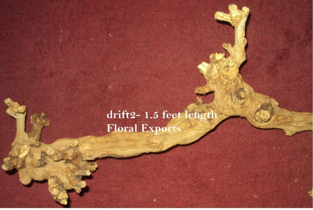DRIFTWOODS - 1.5 FEET LENGTH 1