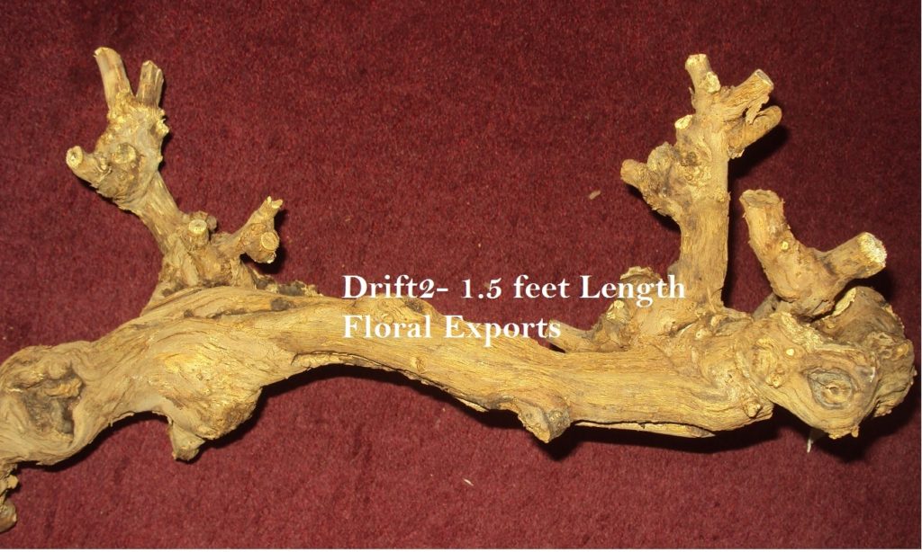 DRIFTWOODS - 1.5 FEET LENGTH