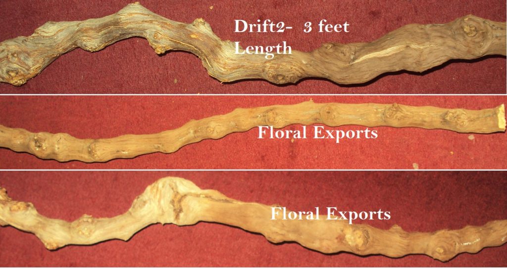 DRIFTWOODS - 3 FEET LENGTH