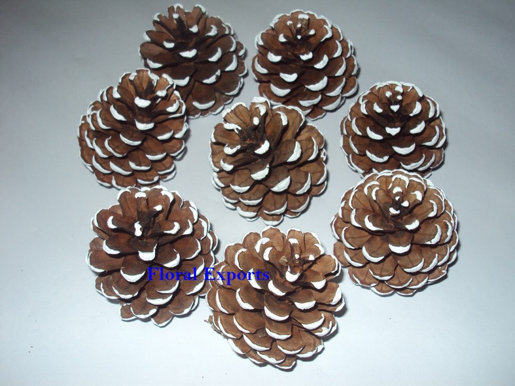 FROSTED SMALL PINE CONE