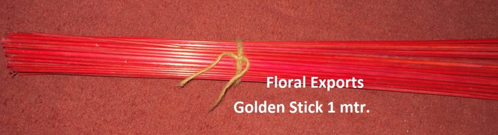 GOLDEN STICK OR JAY STICK 1 MTR. 1