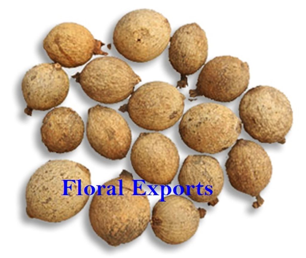 GOURI FRUIT NATURAL