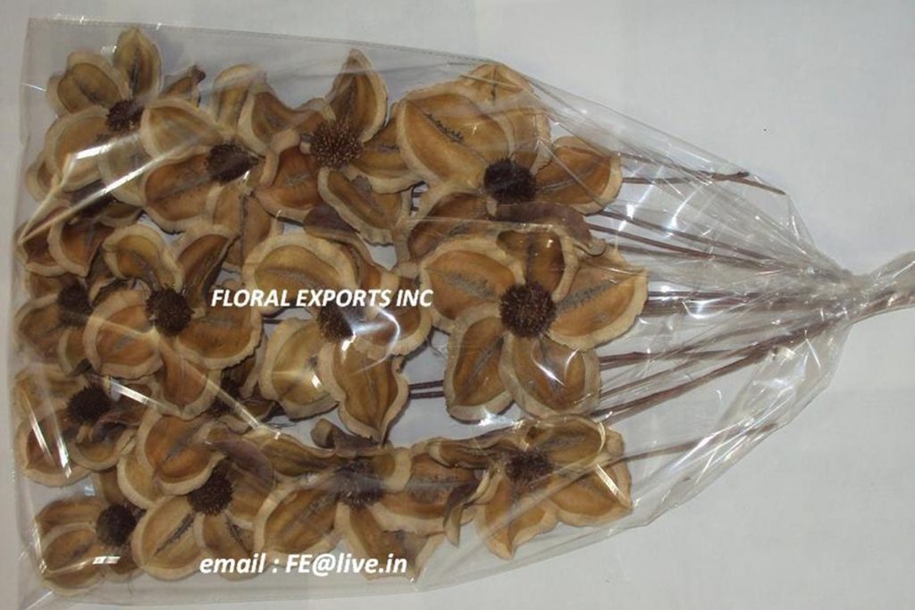 JACARANDA FLOWERS 15 PCS. IN POLY