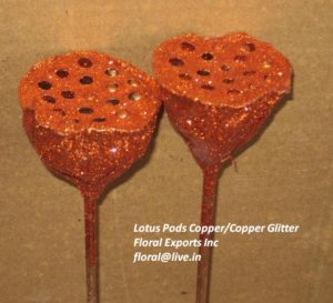 Lotus Pods Copper with Copper Glitter