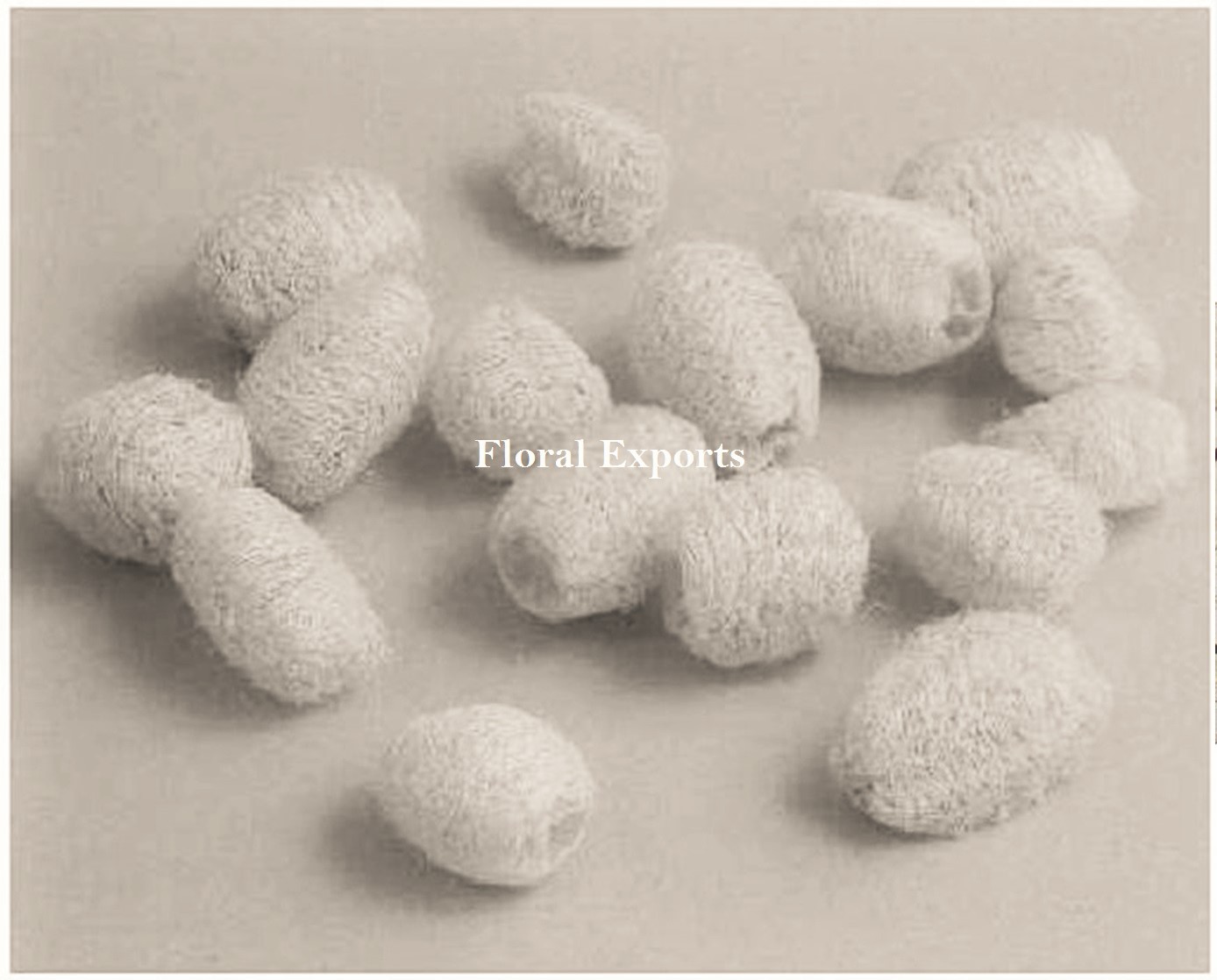 https://natural.birdtoysparts.in/wp-content/uploads/2016/06/MINI-LUFFA-1.jpg