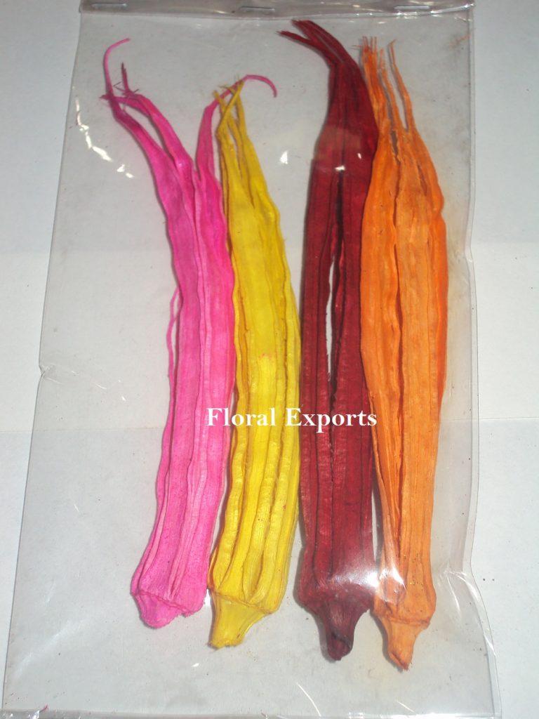 OKRA POD COLOUR 4PCS POLY PACK