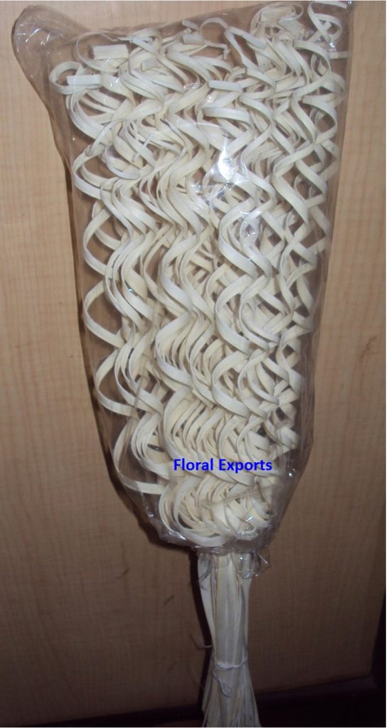 PALM CURLY STICK BLEACH