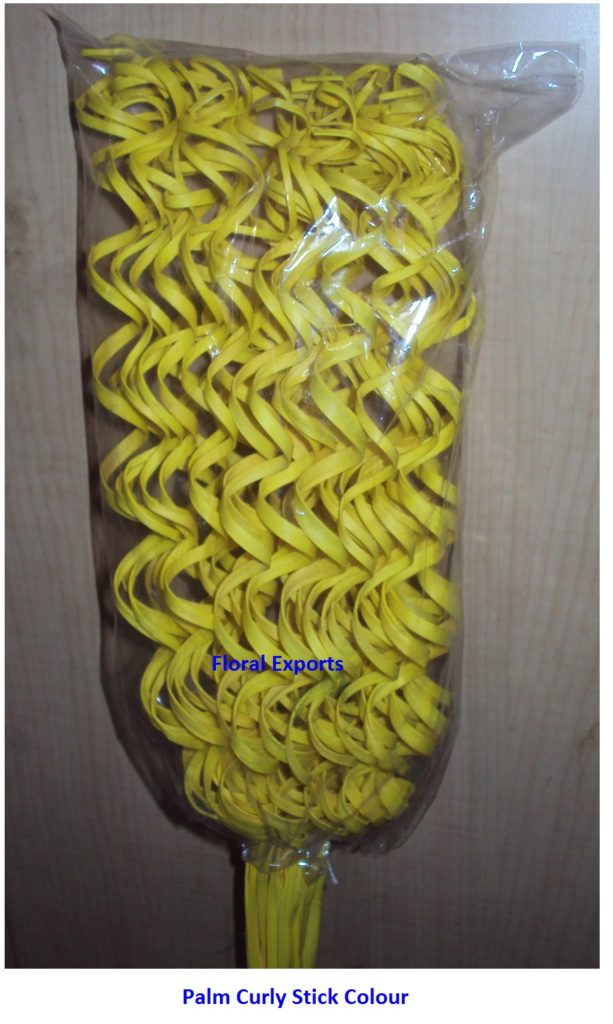 PALM CURLY STICK YELLOW