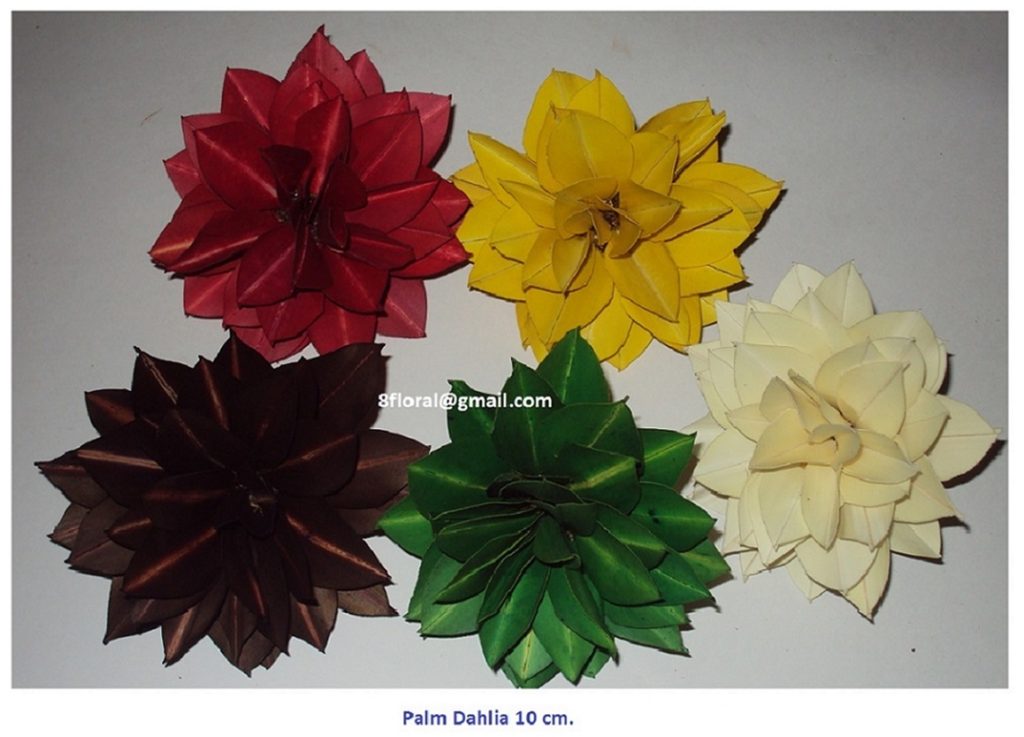PALM DALIA 10 CM. 6