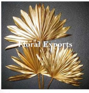 PALM SUN SPEAR GOLD