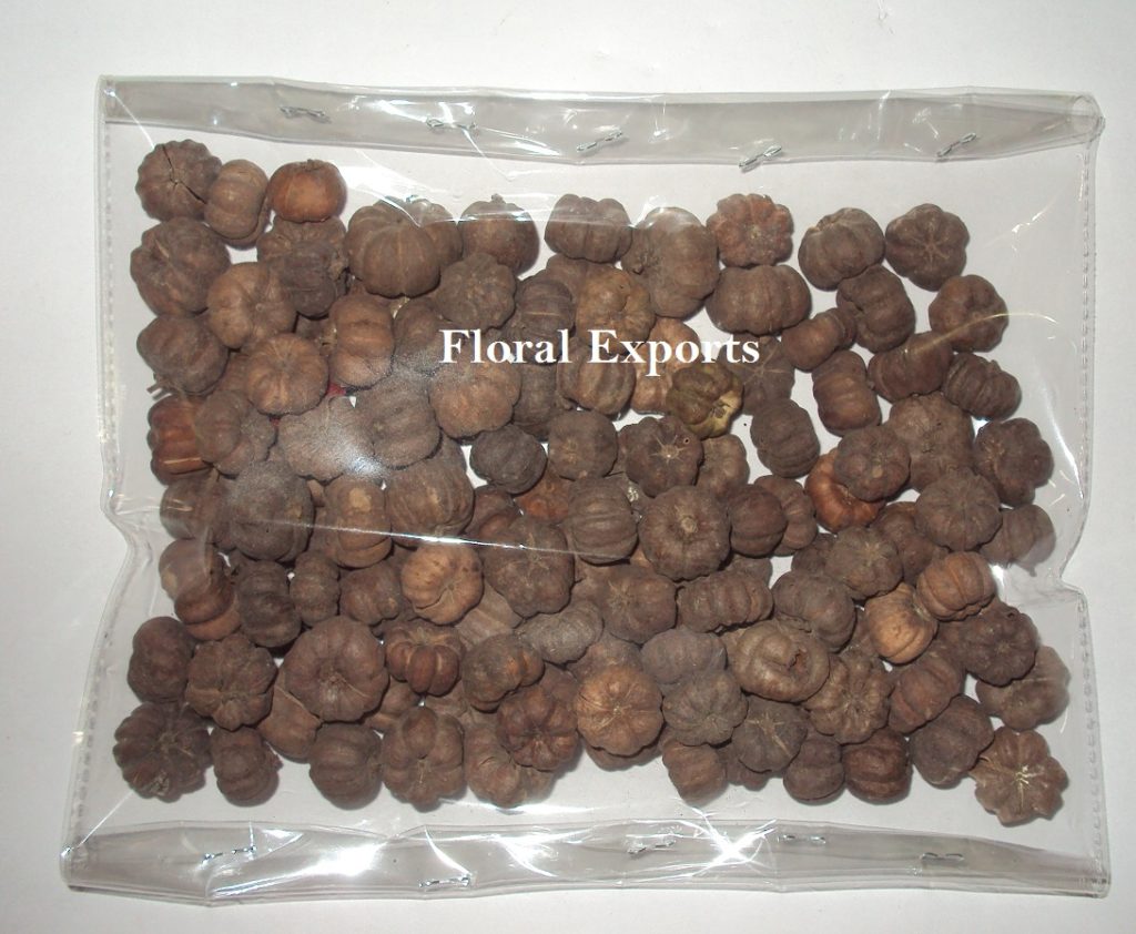 PUTKA PODS NATURAL