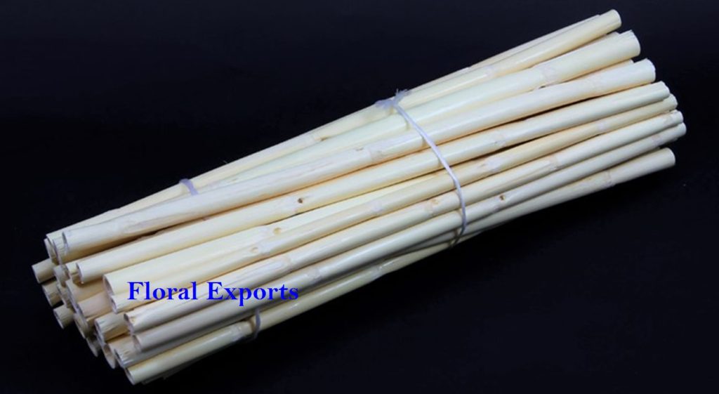 RATTAN STICK 40CM BLEACH