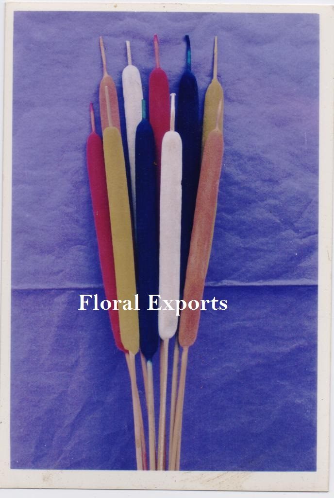 REED SPADIX MEDIUM BLEACH & COLOUR