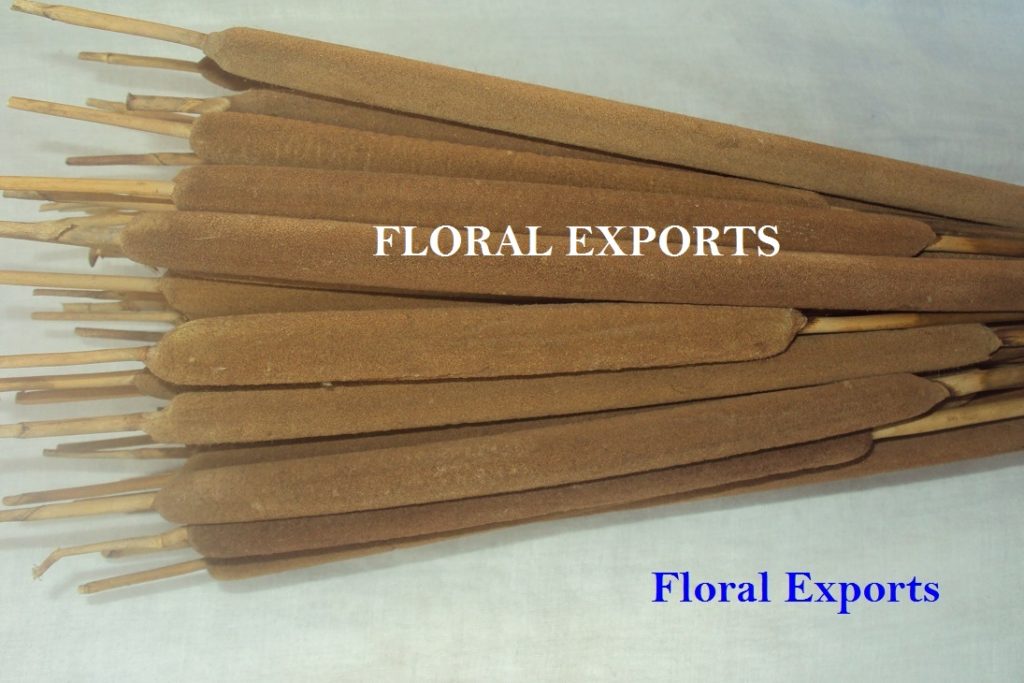 REED SPADIX MEDIUM TAN