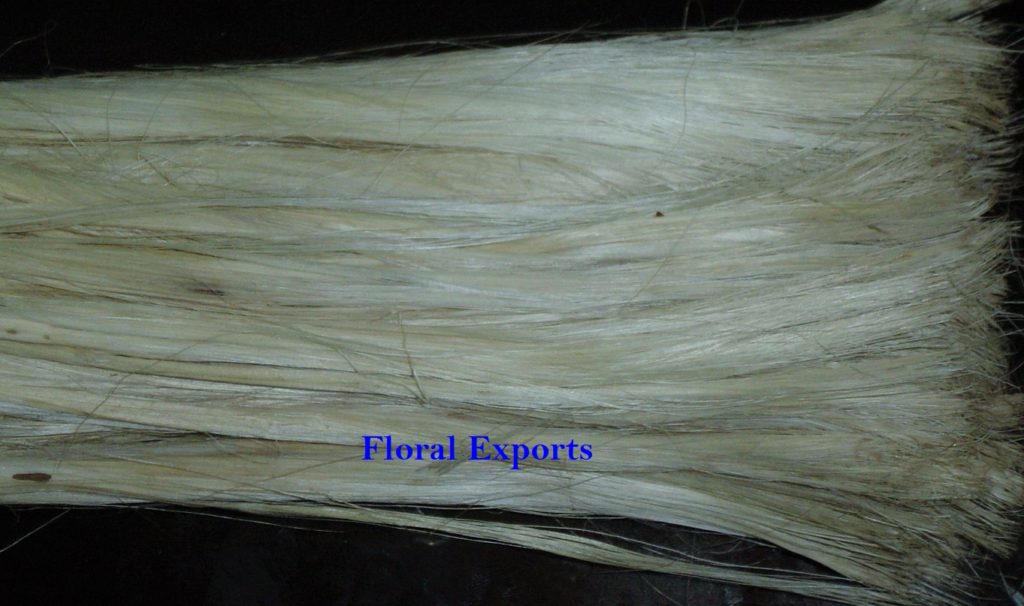 SISAL FIBRE Natural