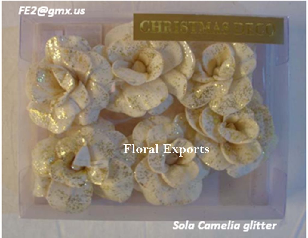SOLA CAMELIA GLITTER IN POLY