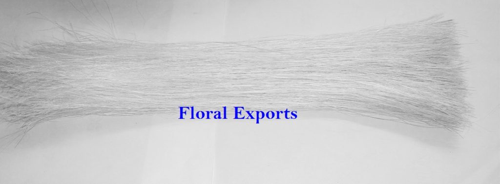 Sisal Fibre Bleach