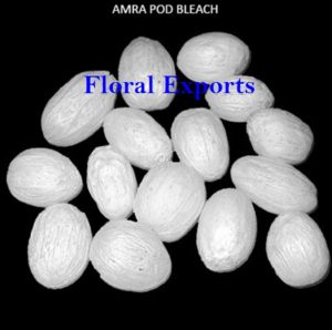 AMRA POD BLEACH