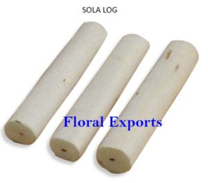 SOLA LOG WITHOUT SKIN