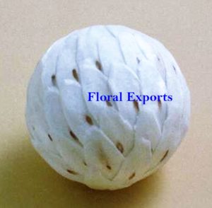 SOLA SLICE BALL WHITE